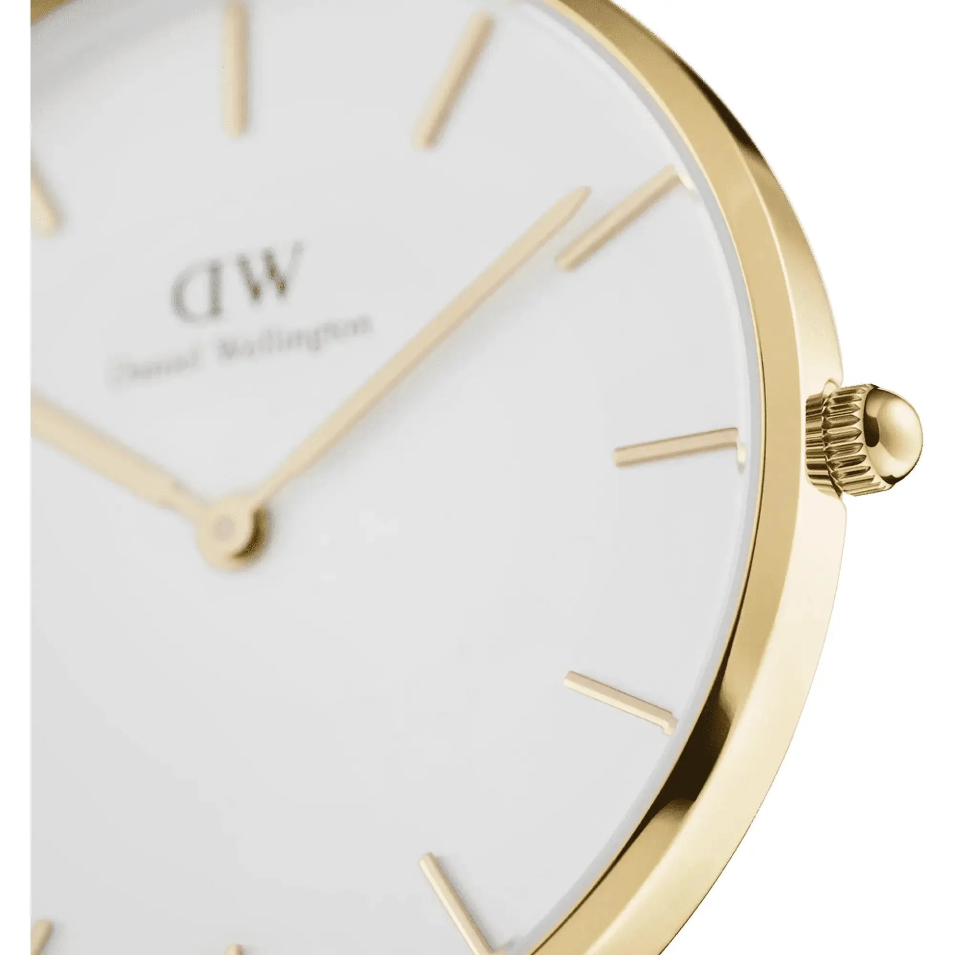 Montre Daniel Wellington - Petite Evergold - Manore Store