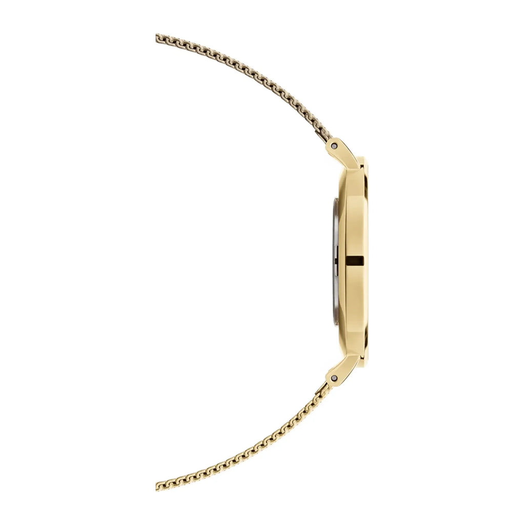 Montre Daniel Wellington - Petite Evergold - Manore Store